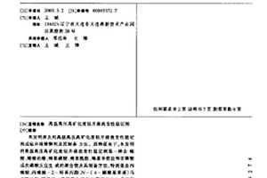 高溫高壓高礦化度鉆井液流變性穩定劑