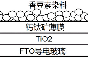 水系鈣鈦礦光電轉換系統