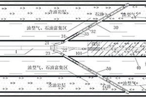 煤、油、氣共生煤礦瓦斯、油型氣、石油災害防治結構
