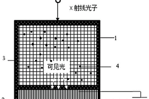 鈣鈦礦晶體/量子點復合閃爍體及其制備方法和應用