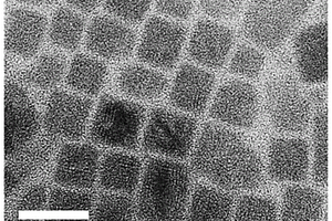 雙鈣鈦礦Cs<Sub>2</Sub>AgSbBr<Sub>6</Sub>納米晶體及合成和應用