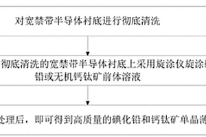 寬禁帶半導體襯底上旋涂單晶的生長方法