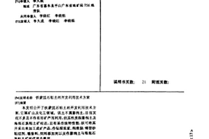 鐵蒙脫石粘土的開發利用技術方案