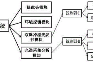 雙脈沖激光誘導擊穿光譜分析裝置及方法