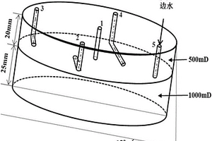 水平井組協同吞吐室內模擬方法