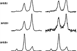 烴產生動力學中的NMR