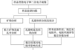 利用數字巖心技術快速識別評價低阻油氣層方法