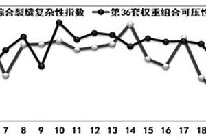 基于模糊灰色關聯法的深層頁巖氣可壓性評價方法