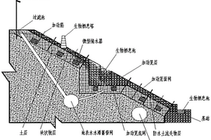 海綿體多功能生態治理的方法