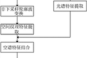 基于NSCT和SAE的高光譜圖像分類方法