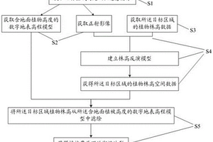 潮灘植被區地形反演方法及系統