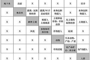 適用于干旱地區高放廢物處置庫遠場評價的景象建立方法