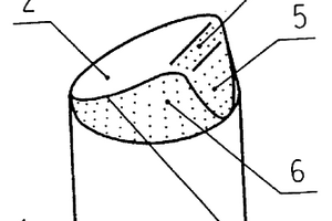 偏頂楔形齒