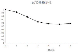 一株異源表達耐熱腈水合酶的大腸桿菌重組菌及其應用