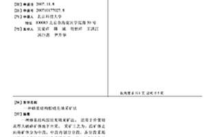 蜂巢結構膠結充填采礦法