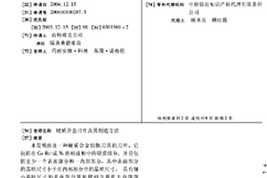 硬質合金刀片及其制造方法