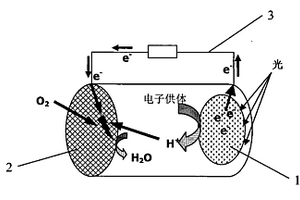 光燃料電池
