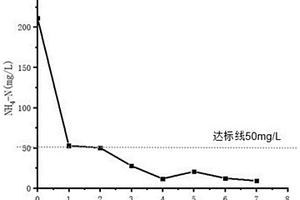 沸石-微藻協同處理稀土礦采礦廢水的方法