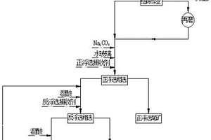 低品級硅鈣質膠磷礦的細篩再磨混合浮選方法