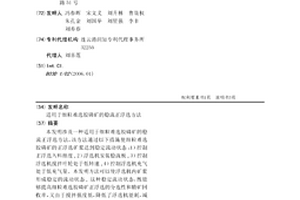 適用于細粒難選膠磷礦的穩流正浮選方法