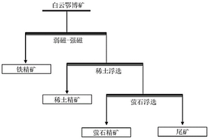 高梯度超導磁選提高白云鄂博礦螢石精礦及稀土精礦品位的方法