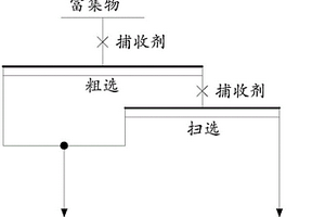 實現鋯石和黃玉分離的浮選捕收劑及其應用