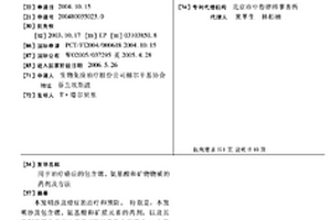 用于治療癌癥的包含鍶、氨基酸和礦物物質的藥劑及方法