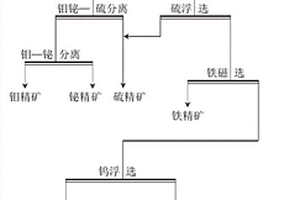 鎢鉬鉍瑩石復雜多金金屬礦選工藝