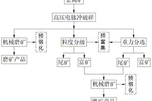 用于金屬礦的高壓電脈沖破碎預先弱化及富集工藝