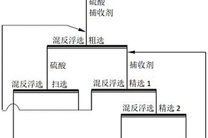 镁硅质磷矿混反浮选用捕收剂、制备方法及选矿方法
