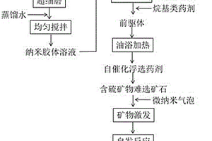 含硫難選礦物的自催化浮選藥劑、其制備方法及應用