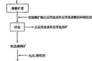 脫除膠磷礦中鐵、鋁倍半氧化物的選礦方法