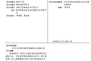 用于赤鐵礦選礦的脫磷劑及其制備方法