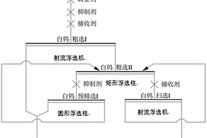 提高低品位伴生白鎢礦預選段選礦效率的方法