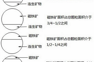 預測釩鈦磁鐵礦選礦產率的方法及應用
