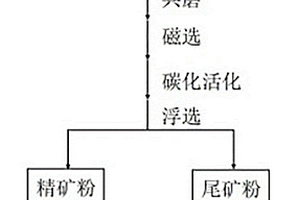高硅菱鎂礦碳化活化選礦技術