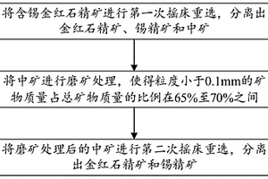 金紅石精礦除錫方法及設備