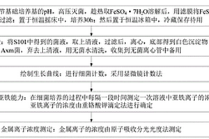 海洋菌浸出低品位硫化礦的方法