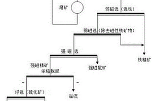 從鈦磁鐵礦回收流程中的次鐵礦中回收鈦精礦的方法
