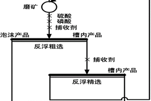 難選高鎂膠磷礦磨浮閉路工藝