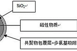 磁性固體多氨基吸附劑顆粒材料、制備方法及其應用