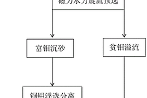 含鉬銅精礦的預選方法