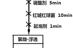 紅城紅球菌在赤鐵礦分離中的應用及分離方法