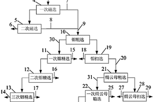 選金尾礦綜合回收鐵、鉬、絹云母的工藝