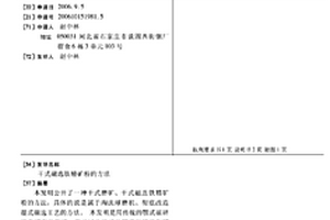 菠蘿味礦泉水的生產工藝
