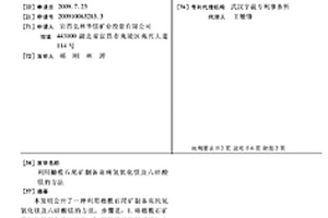 煤礦專用無攪拌式裝藥器