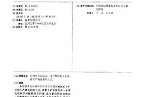 含硫精礦硫酸化焙燒系統
