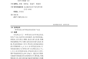 新式振動器