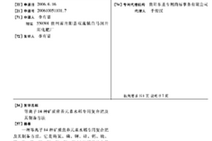 超純鐵精粉磁選機