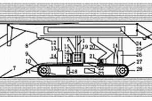 分離自冷浸田土壤的腸桿菌CJ-22及其應用